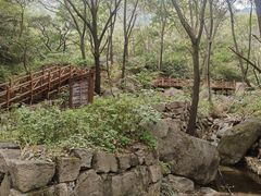 -大岭沟猕猴桃谷风景区