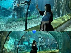 -福州罗源湾海洋世界旅游区