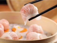 -虾饺妹·酒家(金碧店)