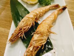 -成都安仁福朋喜来登酒店