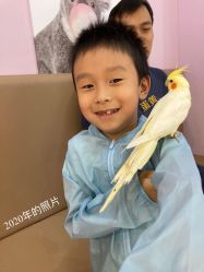 -Moni星球萌宠·小马宝莉·灵蛇·高端高阶全萌宠互动体验俱乐部(红豆国际广场店)