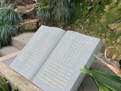 -十八棵（老龙井）御茶园(老龙井店)