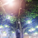 美的像花园的面馆—花开识面