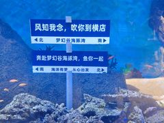 -横店影视城梦幻谷园区