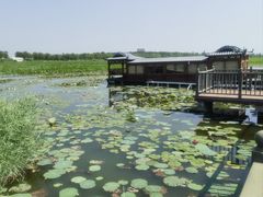 -天津东丽湖风景区