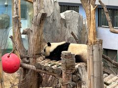 -青藏高原野生动物园