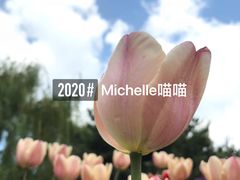 -长春公园(普阳街道)