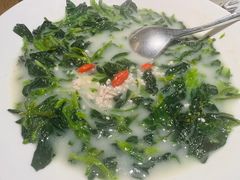 鸽汤万年青-大鸽饭(岗顶店)