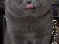 -喜茶(广州北京路惠福东店)