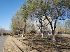 -永定河休闲森林公园