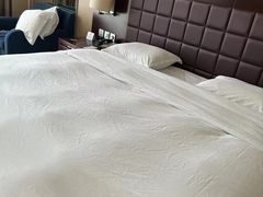 -上海浦东绿地铂骊酒店
