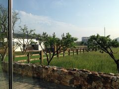 -田园东方蜜桃村的田野营地