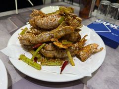 -小海丁