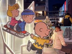 -中粮·祥云小镇