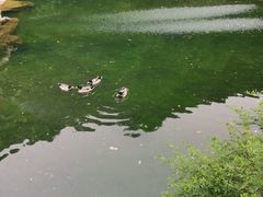 -午潮山国家森林公园