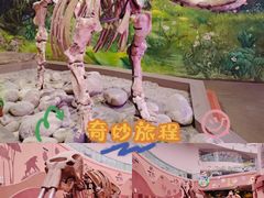 -陕西自然博物馆