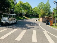 -枫香湖儿童公园