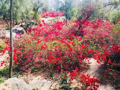 -厦门园林植物园-植物园滴水山房