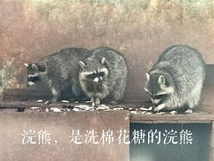 -昆明动物园