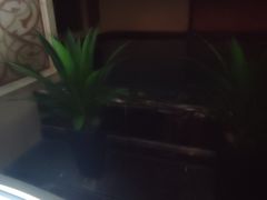 -君康悦美食汤泉水会·SPA(天河店)