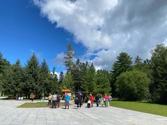 -五营红松林海景区