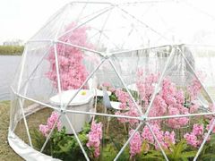 -长白岛森林公园