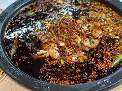 -费明中罗非鱼(大石坝店)