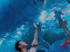 -福州罗源湾海洋世界旅游区