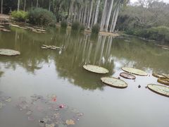 -中国科学院西双版纳热带植物园