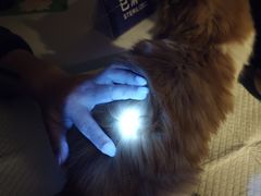 -宠颐生汉谟拉比宠物医院