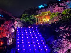 -印象普陀
