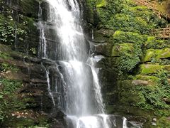 -碧峰峡风景区