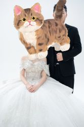 -金夫人婚纱摄影(总店)