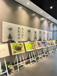 -太湖雪蚕桑文化园