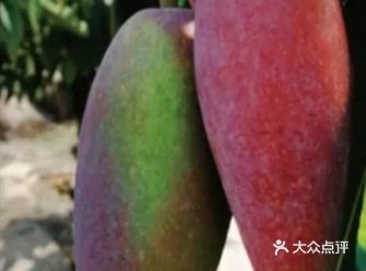 #春日去玩吧 #0元玩转这座城市 #创作者赏金计划