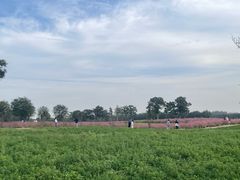 -汉长安城未央宫国家考古遗址公园