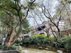 -黄龙溪古镇