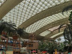 -杭州开元森泊度假乐园