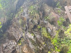 -东天目山风景区