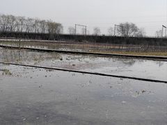 -永定河休闲森林公园