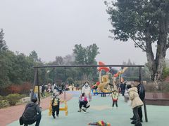 -铁山坪森林公园