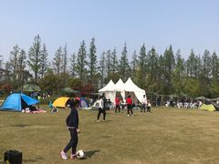 -上海长兴岛郊野公园