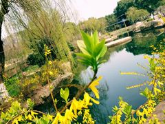 -白马涧龙池景区