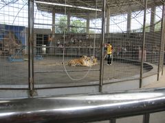 -石家庄市动物园