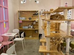 大堂-喵匠猫主题咖啡(凯德和平广场店)