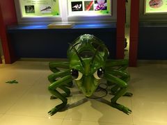 -上海昆虫博物馆