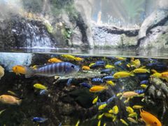 -太平洋海底世界