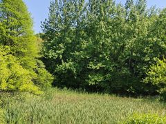 -南山风景名胜区