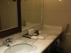 -华雅花园大酒店