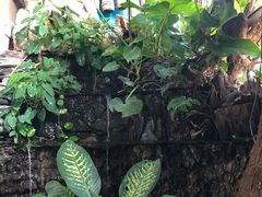 -自然餐厅(Phuket)